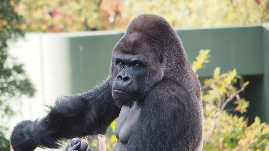 〜なごやTRIP〜「名古屋市東山動植物園」観覧券付き